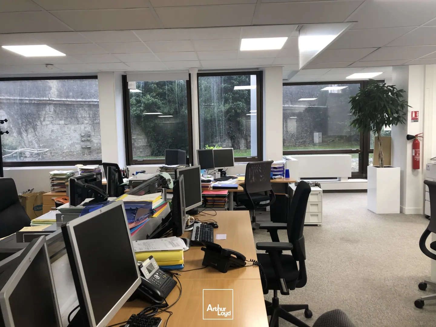 Bureaux - Location - SAINT CLOUD - 92210 - 341.47-341.47 - 7582238