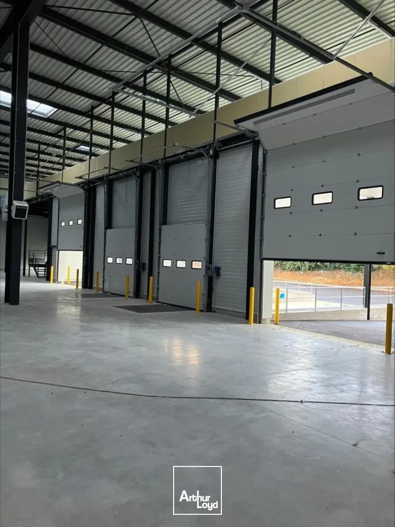 Locaux d'activité & Entrepôts - Location - PLAISIR - 78370 - 3079-6158 - 7582360