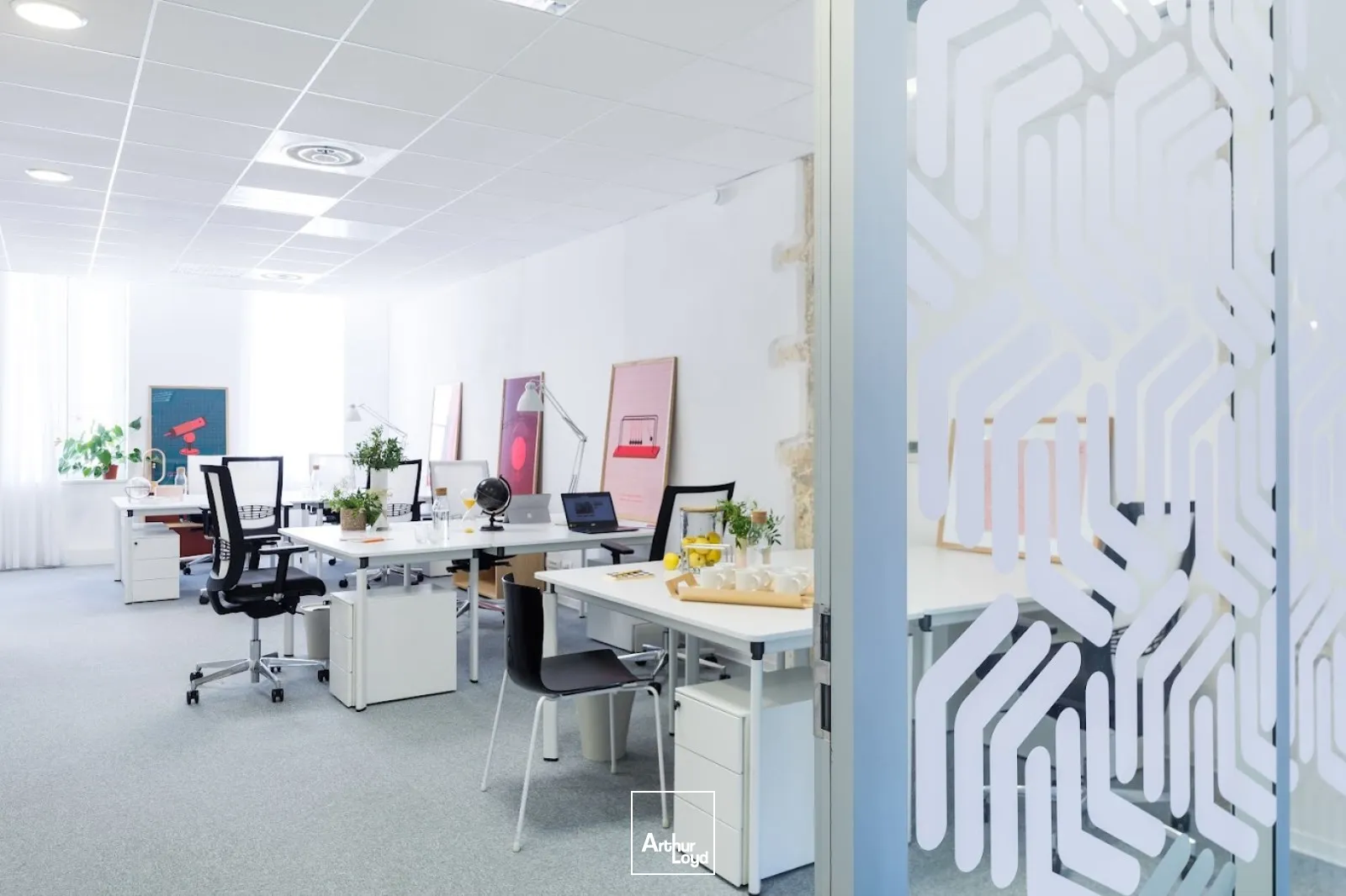 Bureaux - Location - MARSEILLE - 13002 - 17-341 - 7582448