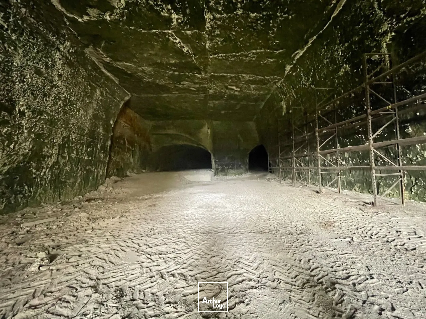 Locaux d'activité à vendre à CANTELEU 76380