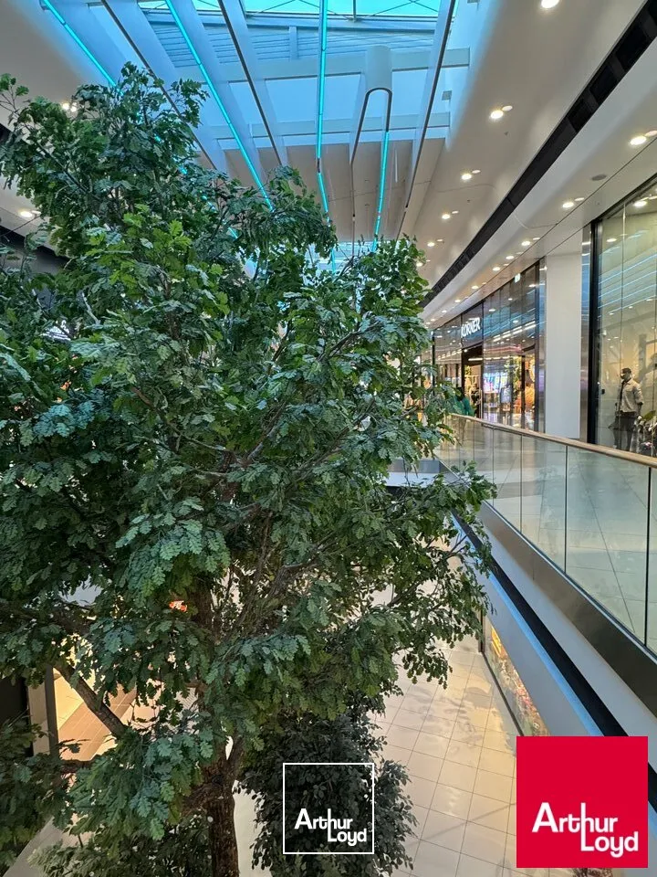 BAYONNE - Restaurant 180 m²  Forte visibilité & passage  Très bonne marge - Idéal couple