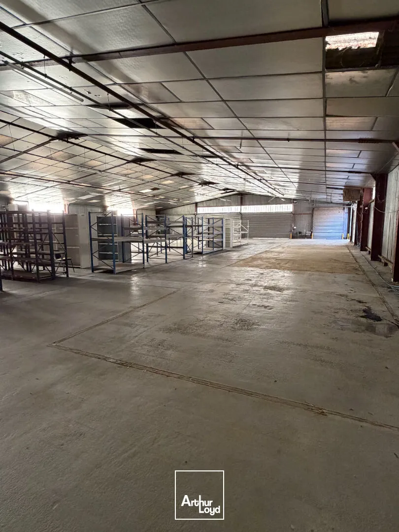 ALOUER -- LIMOGES SUD -- Local d'activité 1&nbsp;000 m²