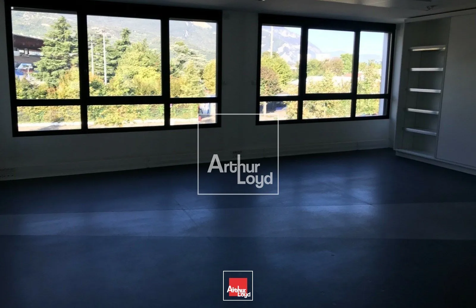 Bureaux - Vente - GRENOBLE - 38100 - 377.69-922.97 - 7587435