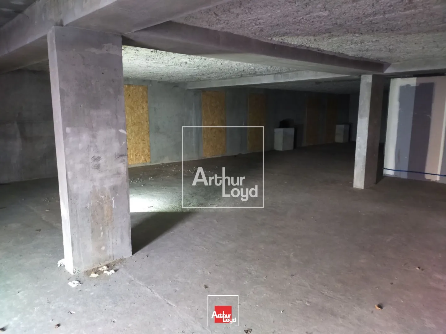 Locaux commerciaux - Location - MEYLAN - 38240 - 230-230 - 7587564