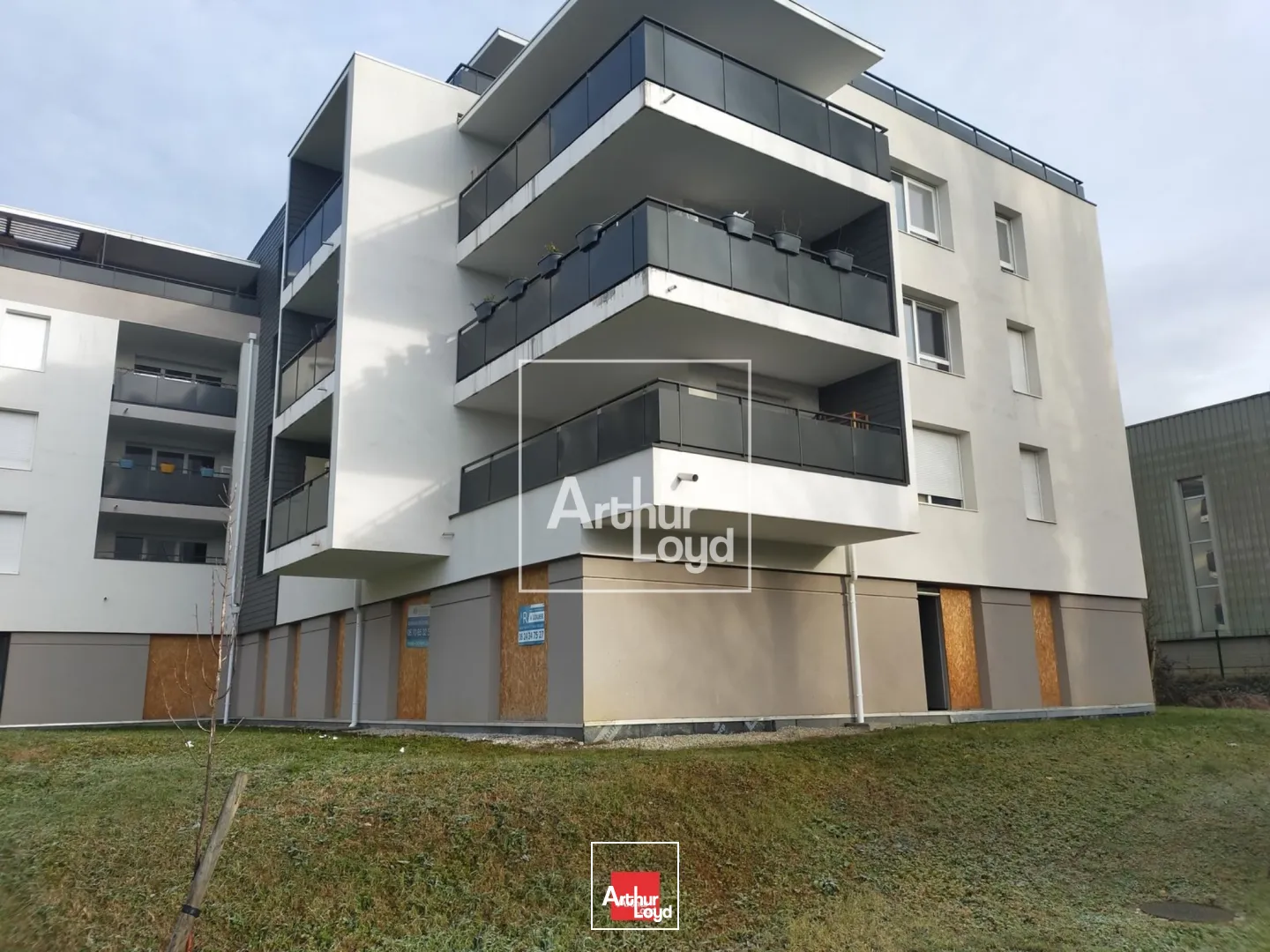 Locaux commerciaux - Location - MEYLAN - 38240 - 230-518 - 7587571