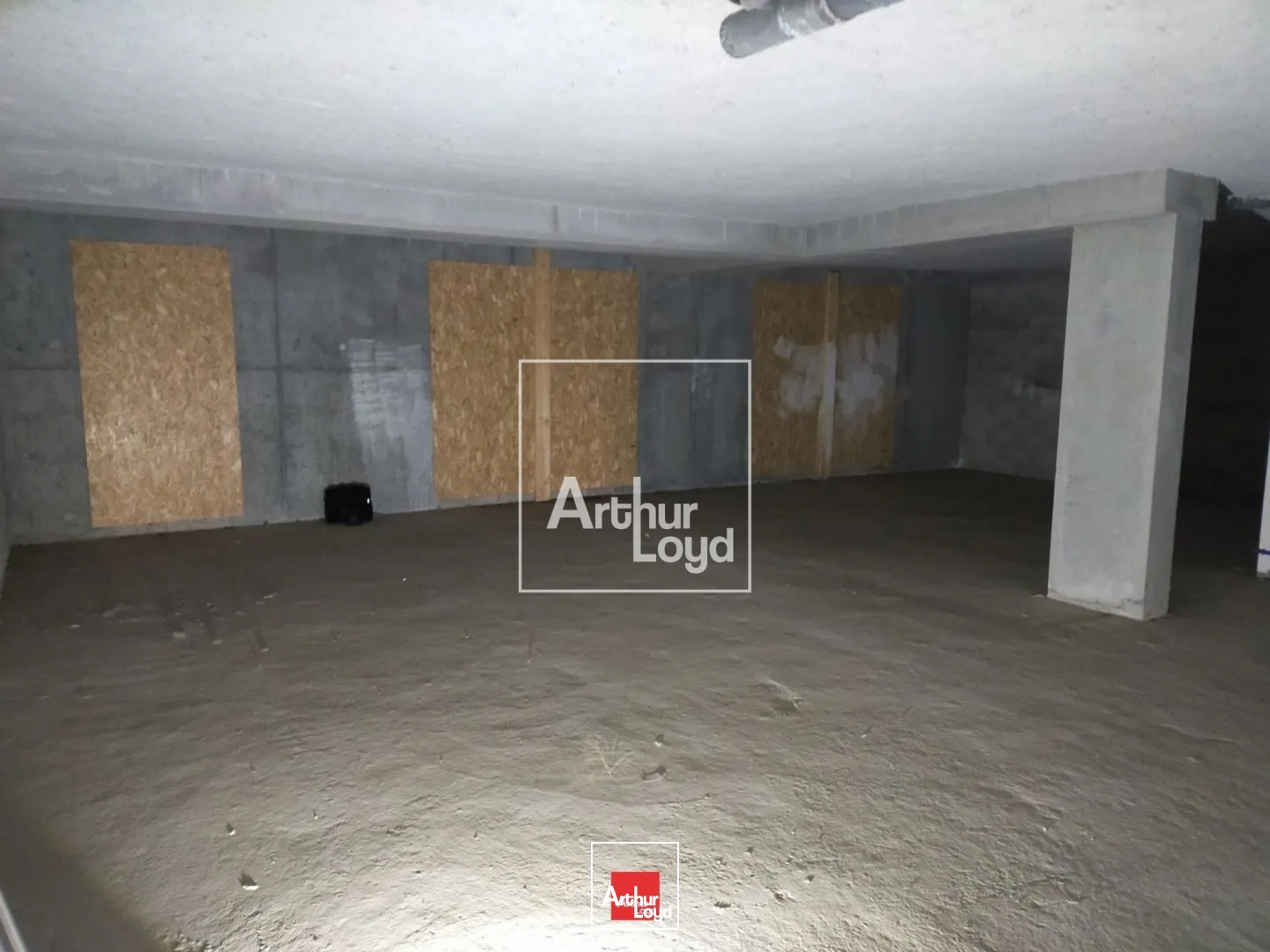 Locaux commerciaux - Location - MEYLAN - 38240 - 230-518 - 7587579