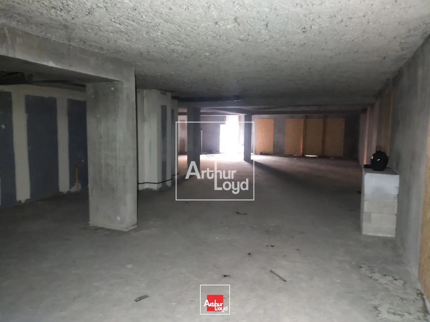 Locaux commerciaux - Location - MEYLAN - 38240 - 230-518 - 7587580