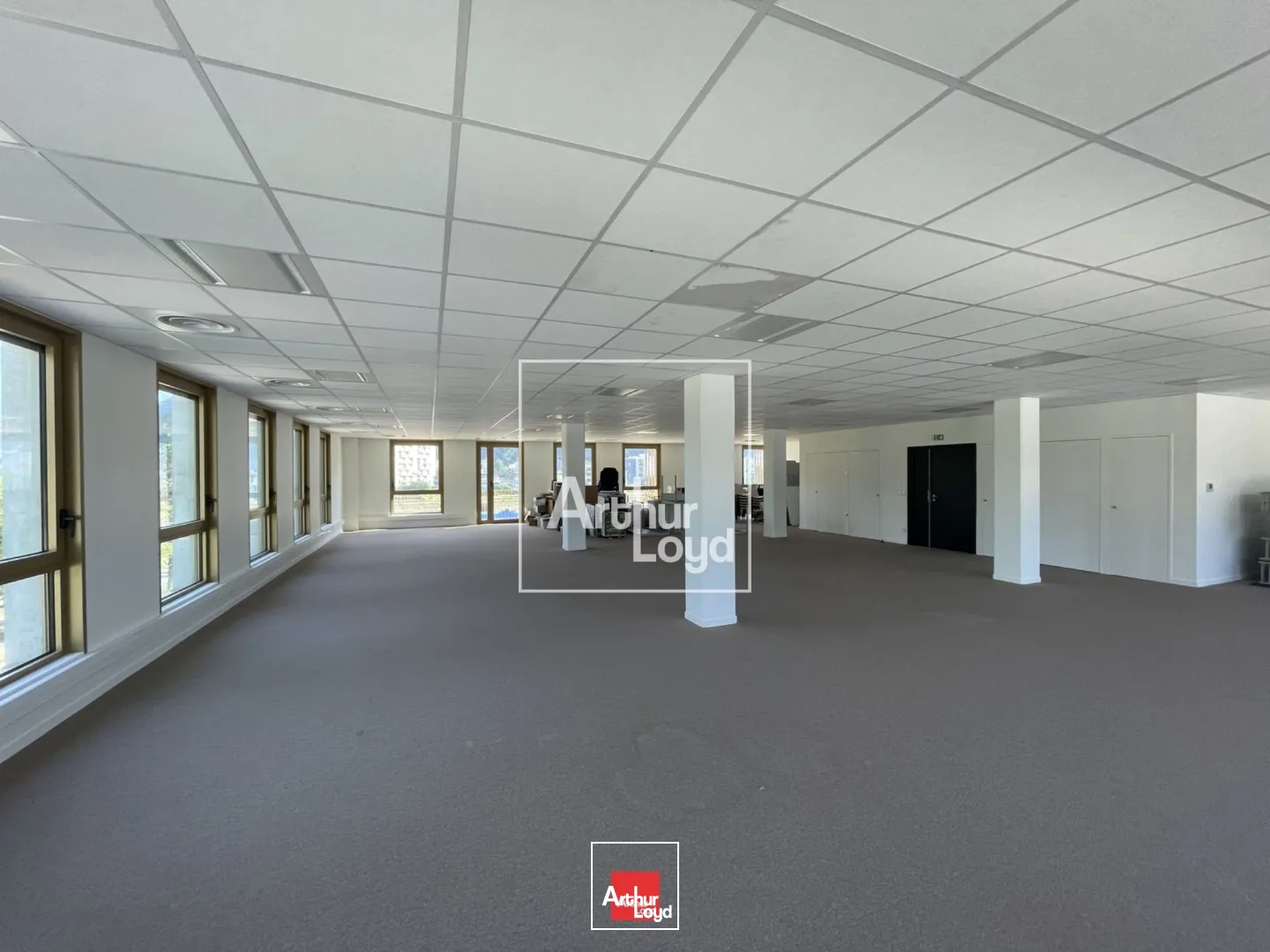 Bureaux - Location - SAINT MARTIN LE VINOUX - 38950 - 153-3135 - 7587610