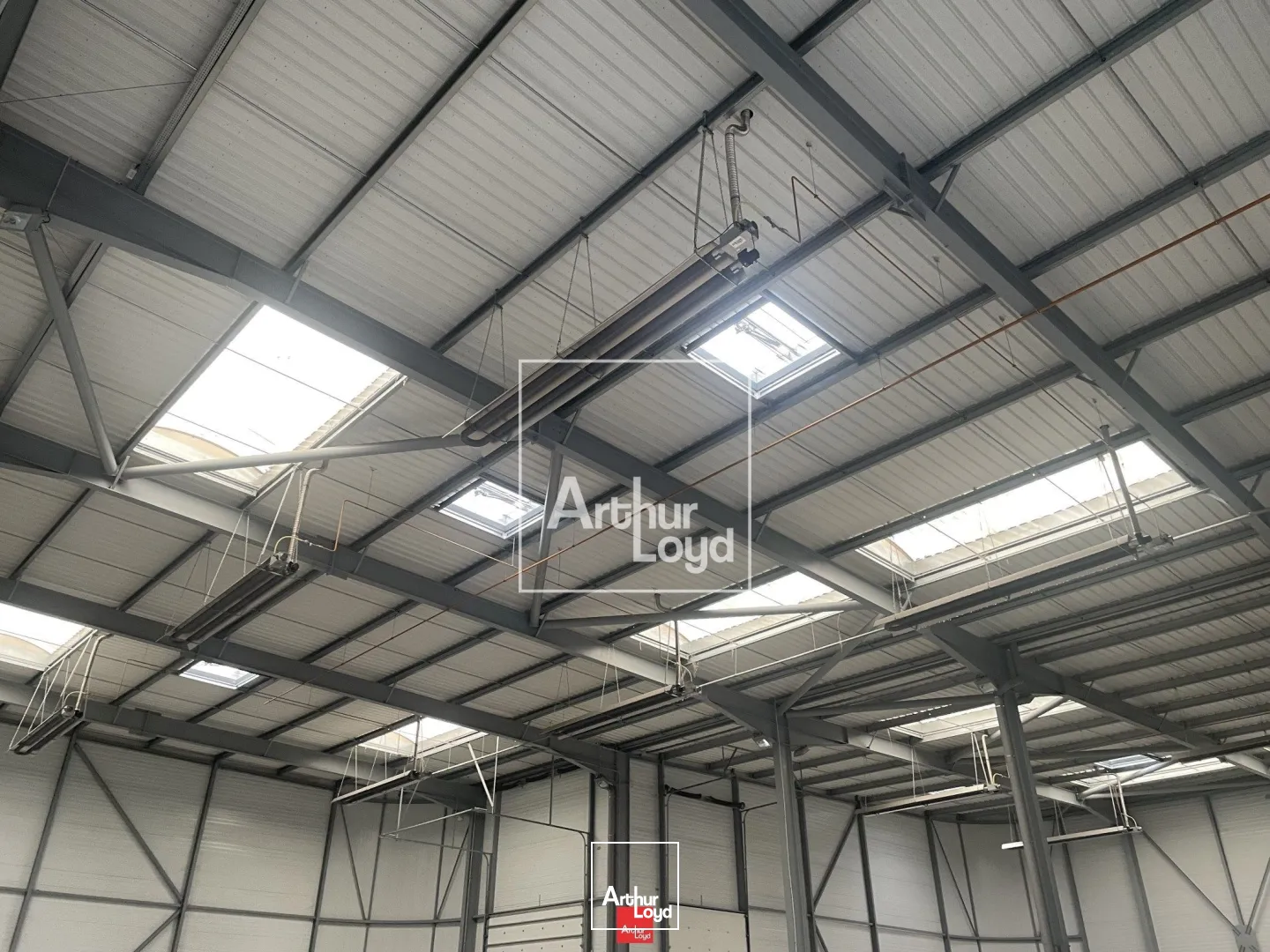 Locaux d'activité & Entrepôts - Location - VOREPPE - 38340 - 1760-1760 - 7587843