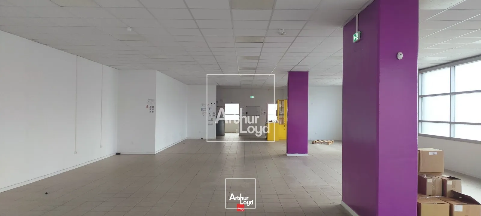 Locaux commerciaux - Vente - GRENOBLE - 38100 - 348-348 - 7587988