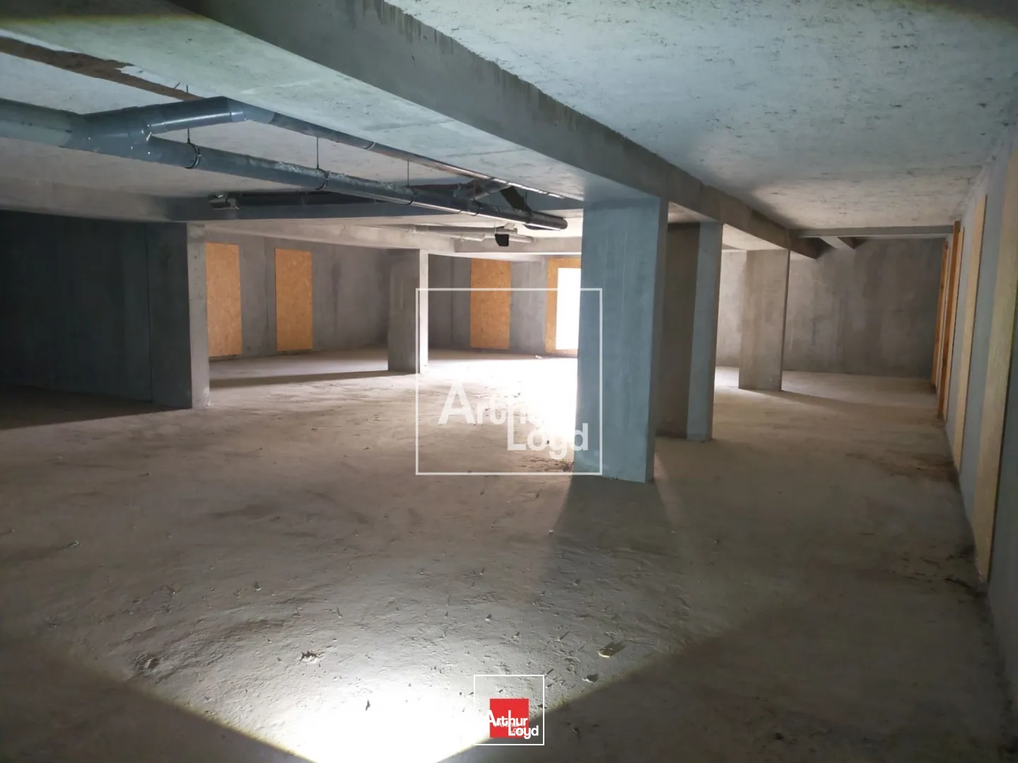 Locaux commerciaux - Location - MEYLAN - 38240 - 288-288 - 7588056