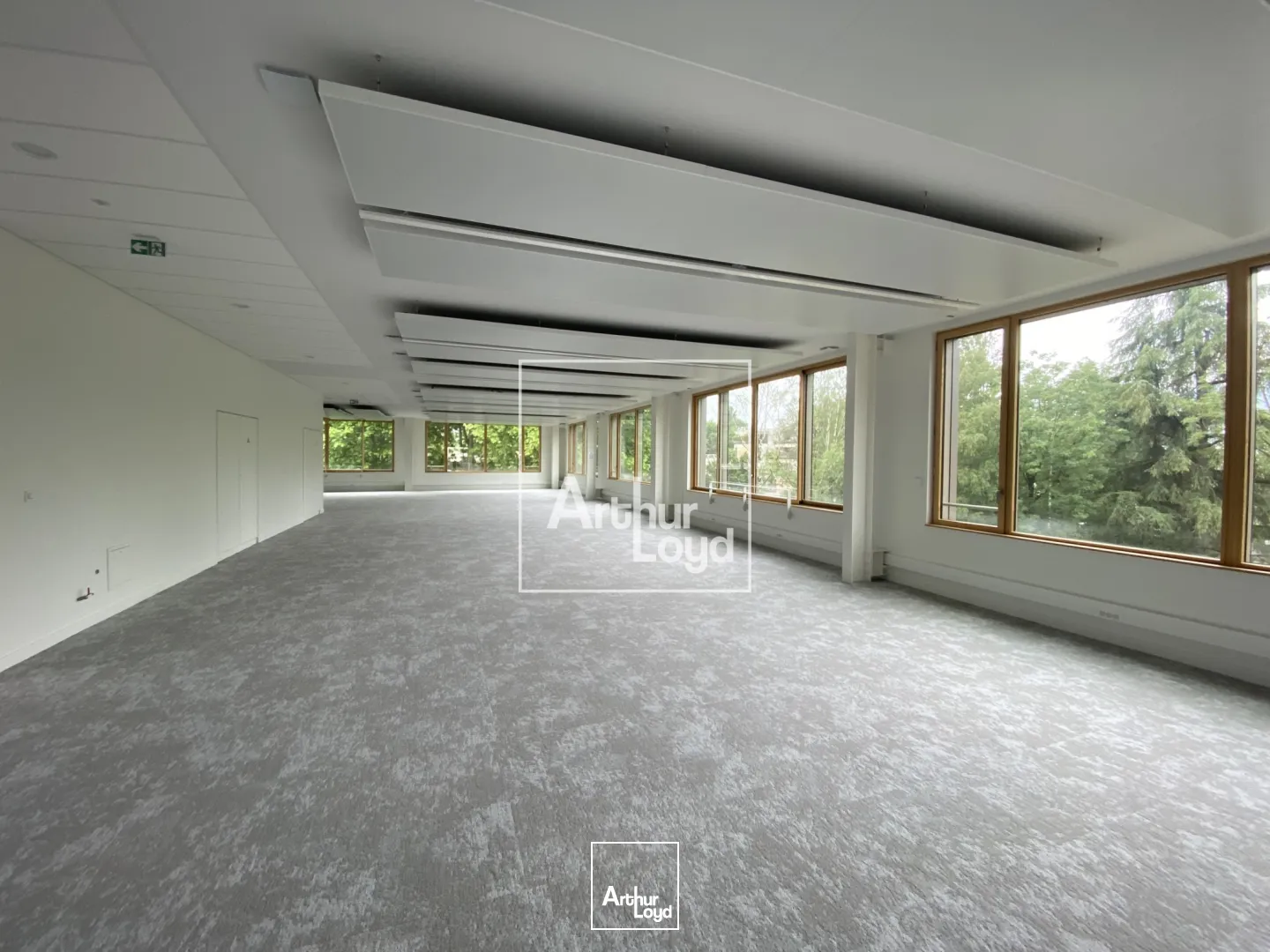 Bureaux - Location - MEYLAN - 38240 - 125-4586.5 - 7588236