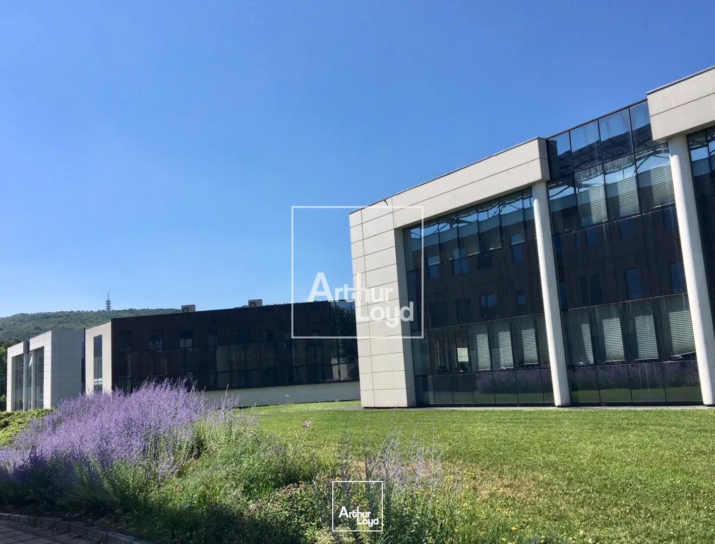 LOCATION DE BUREAUX A ECHIROLLES PARC SUD GALAXIE AVEC PARKINGS 