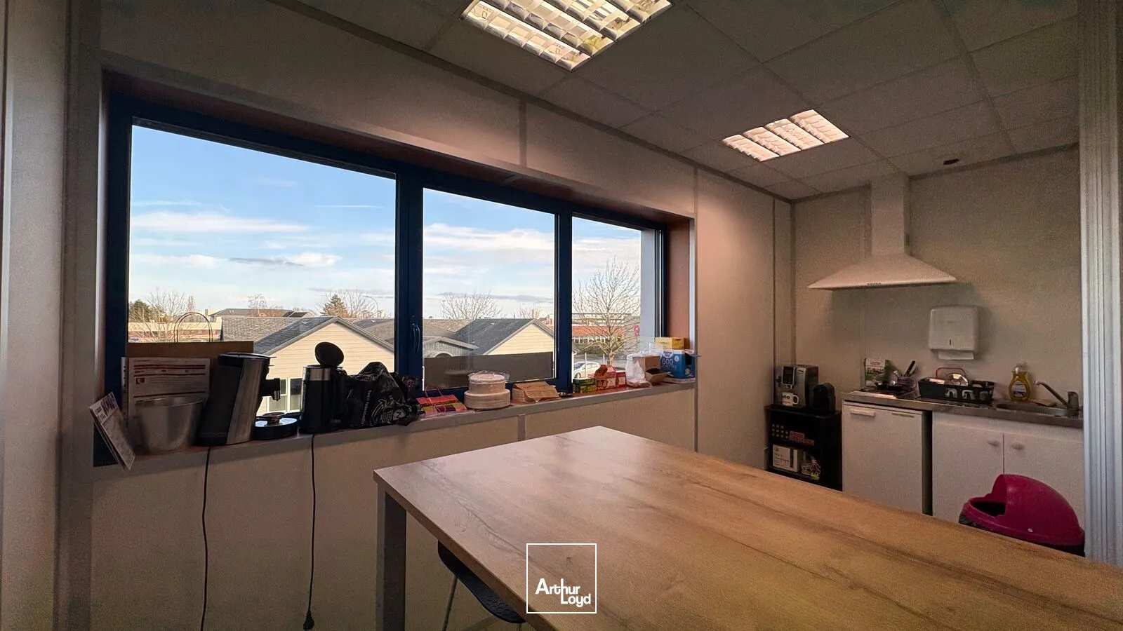 Locaux d'activité & Entrepôts - Location - LA CHAPELLE SAINT MESMIN - 45380 - 383-383 - 7589086