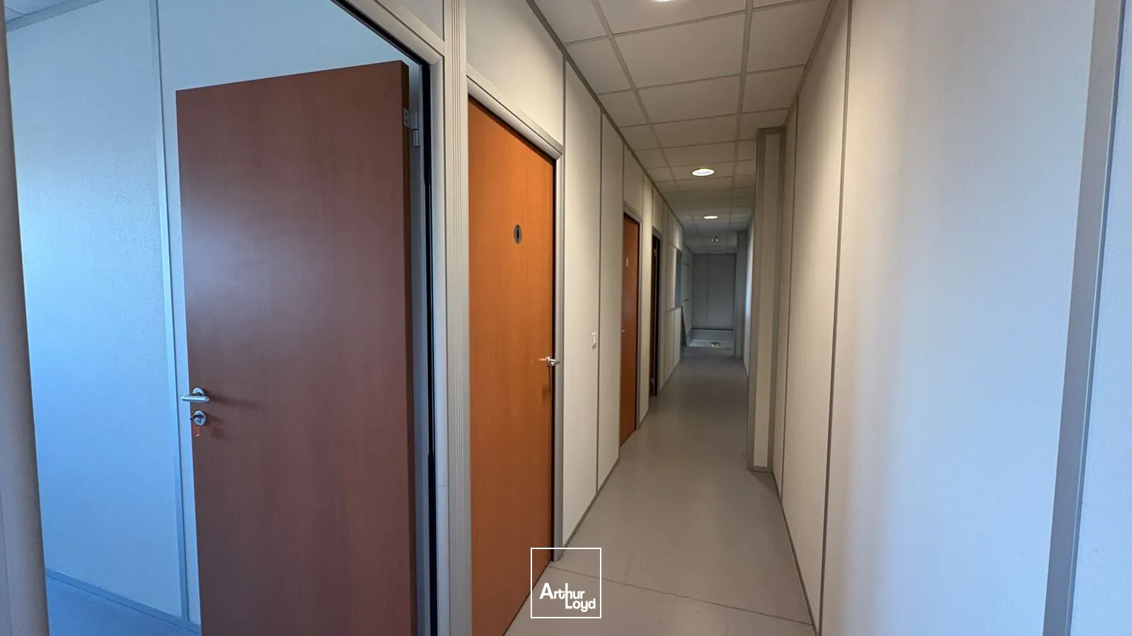 Locaux d'activité & Entrepôts - Location - LA CHAPELLE SAINT MESMIN - 45380 - 383-383 - 7589084