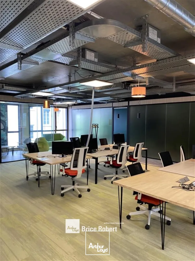 Bureaux à louer - LE REPHAËL - Lyon 3e