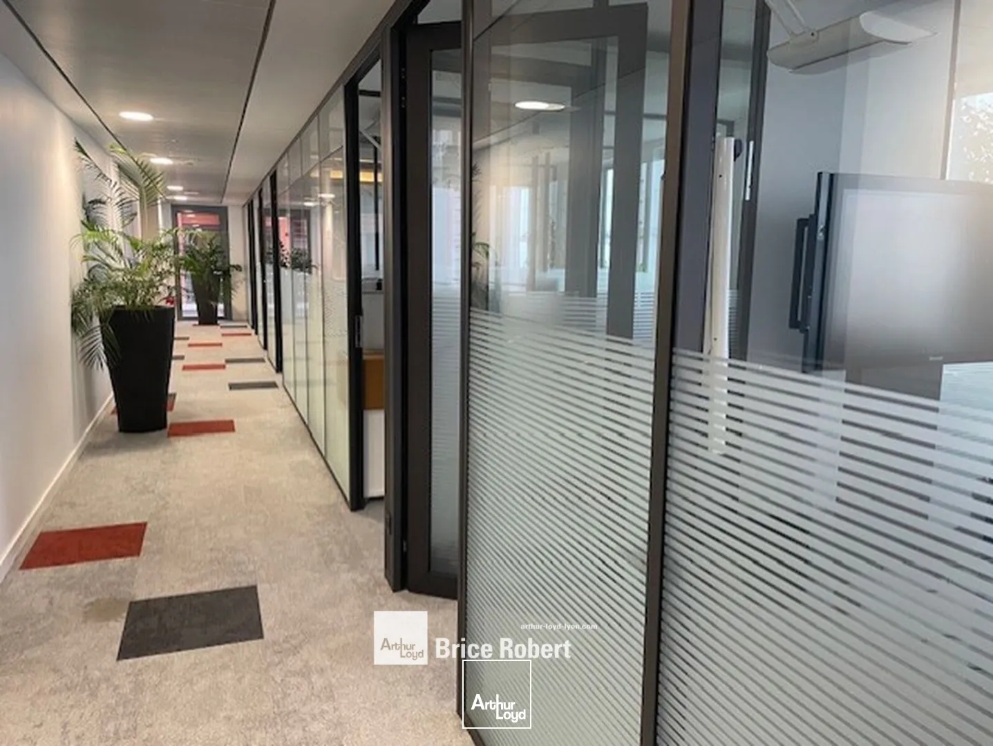 A louer - CITE INTERNATIONALE - Bureaux lumineux - Lyon 6ème 