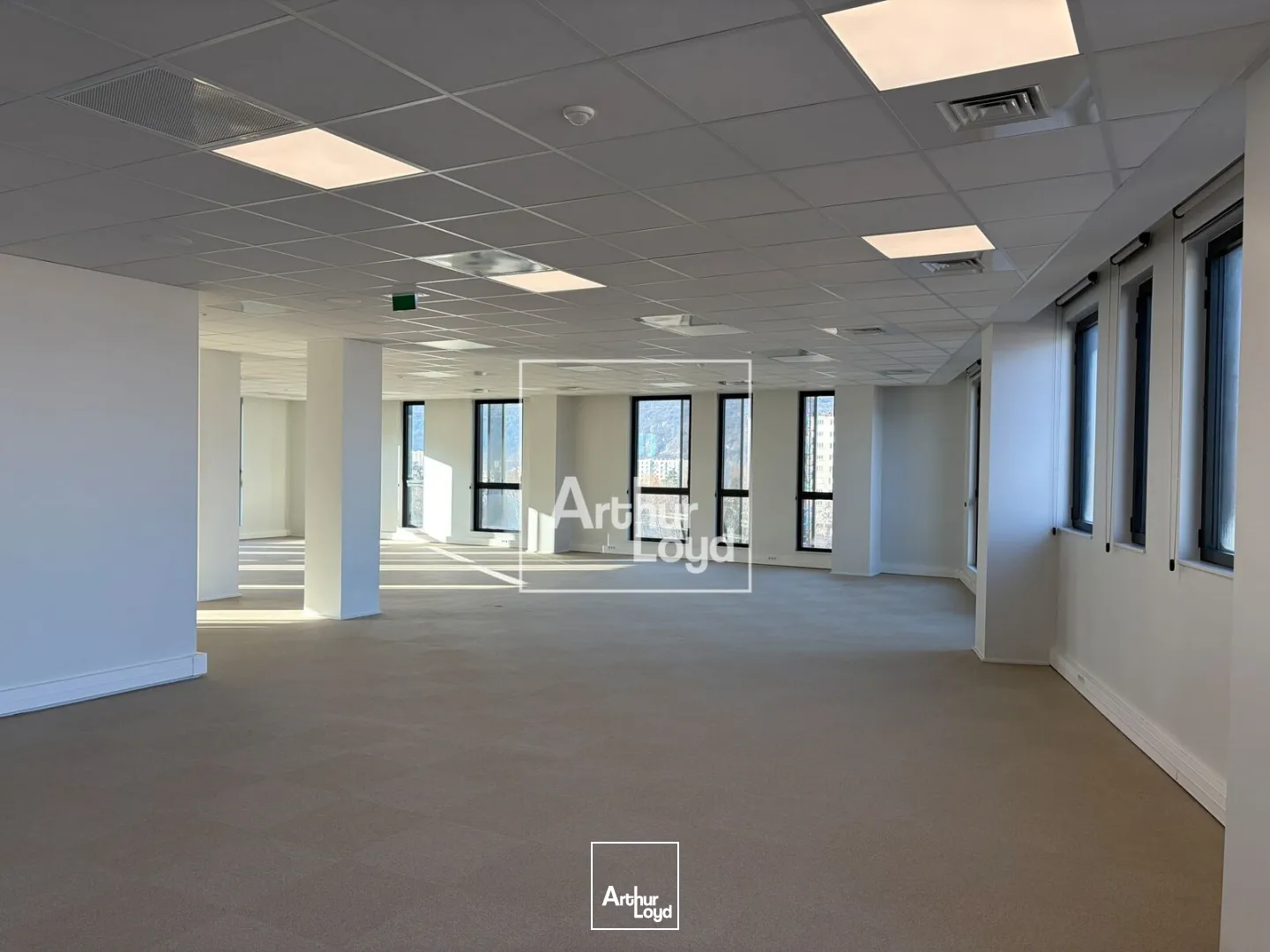 Bureaux - Location - GRENOBLE - 38000 - 216.93-3685.56 - 7593488