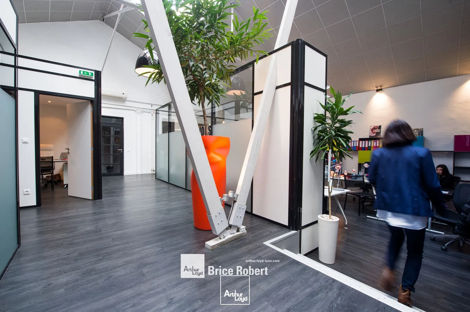 A vendre - Bureaux lumineux - Lyon 9ème