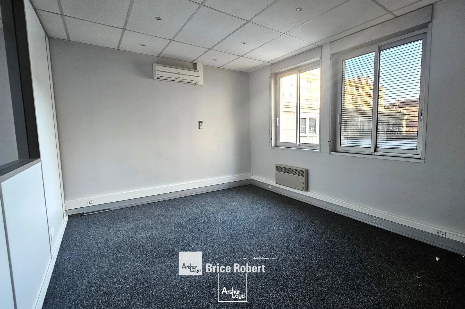 A louer - Bureaux fonctionnels - Villeurbanne 