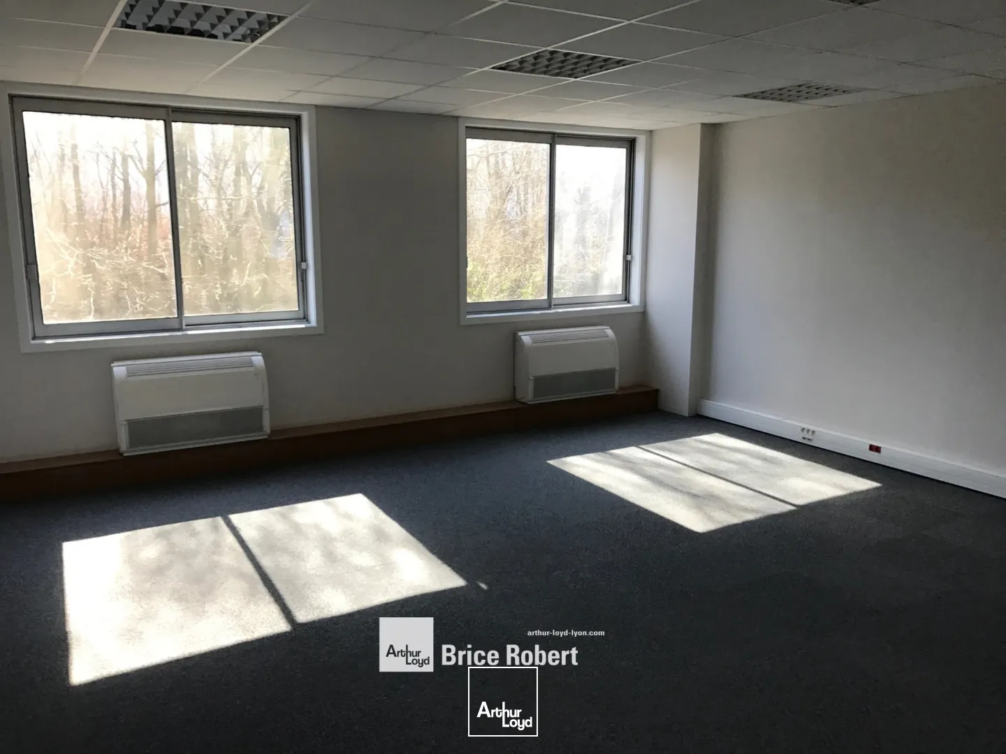 A louer - Bâtiment d'activités au sein d'un parc d' activité rénové avec une hauteur sous plafond de 6.50 m² - Dardilly Techlid