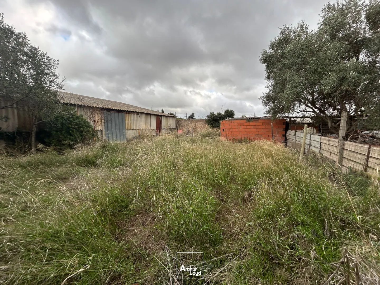 Locaux commerciaux - Vente - NARBONNE - 11100 - 650-650 - 7595566