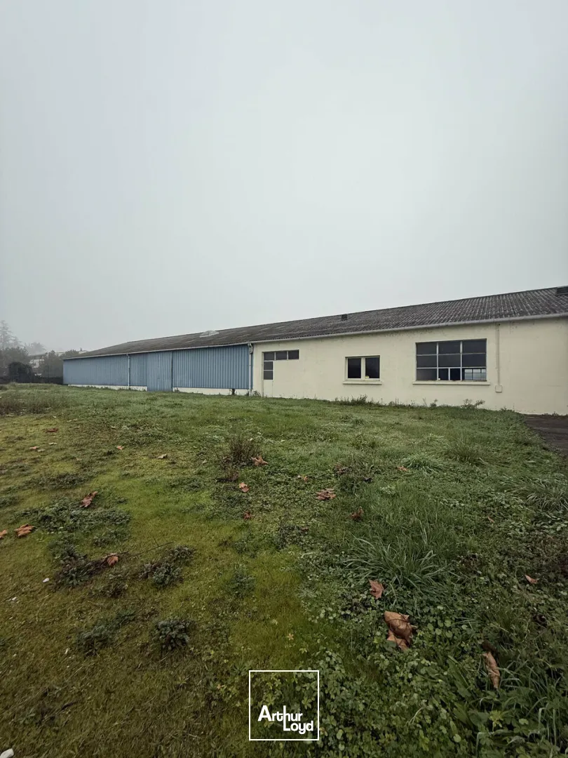 TERRAIN vente à TERRASSON-LAVILLEDIEU 24120