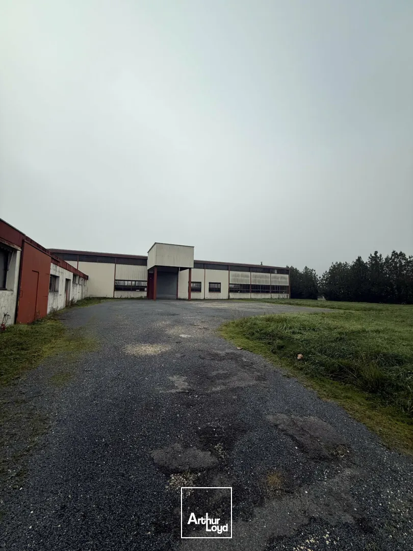 TERRAIN vente à TERRASSON-LAVILLEDIEU 24120