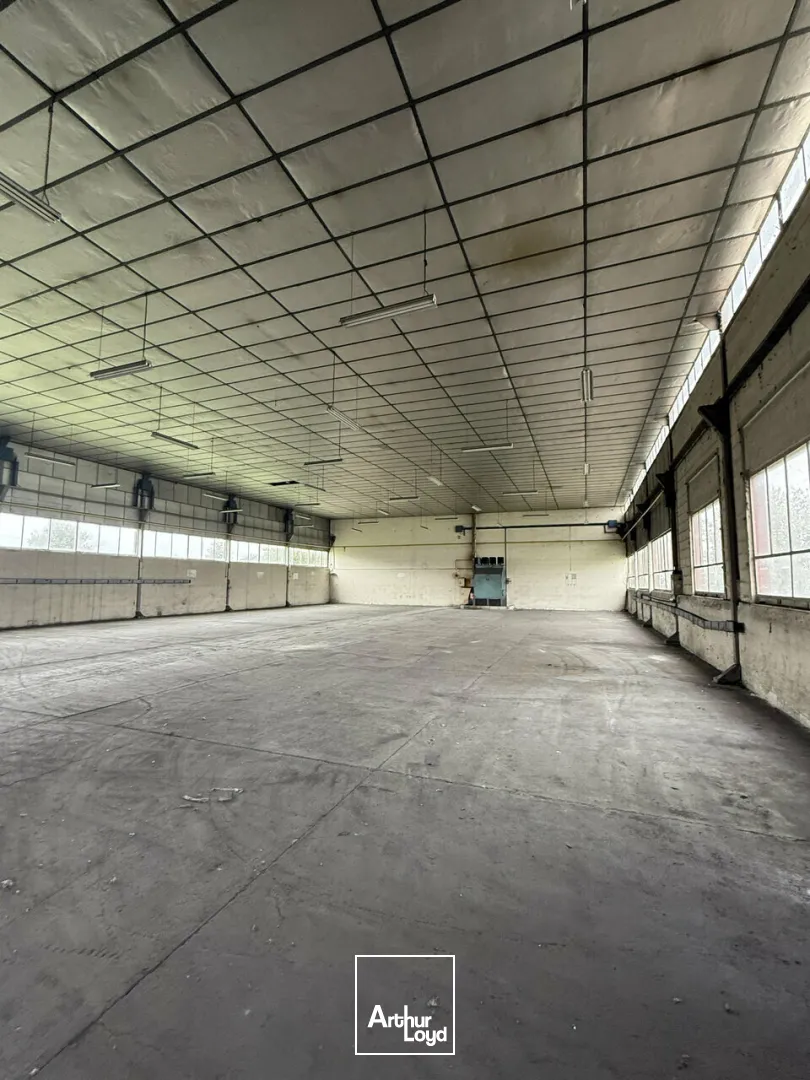 TERRAIN vente à TERRASSON-LAVILLEDIEU 24120