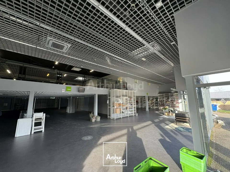 LOCAL COMMERCIAL à LOUER de 1005 m²
