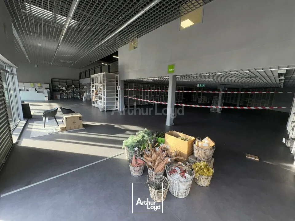 LOCAL COMMERCIAL à LOUER de 1005 m²