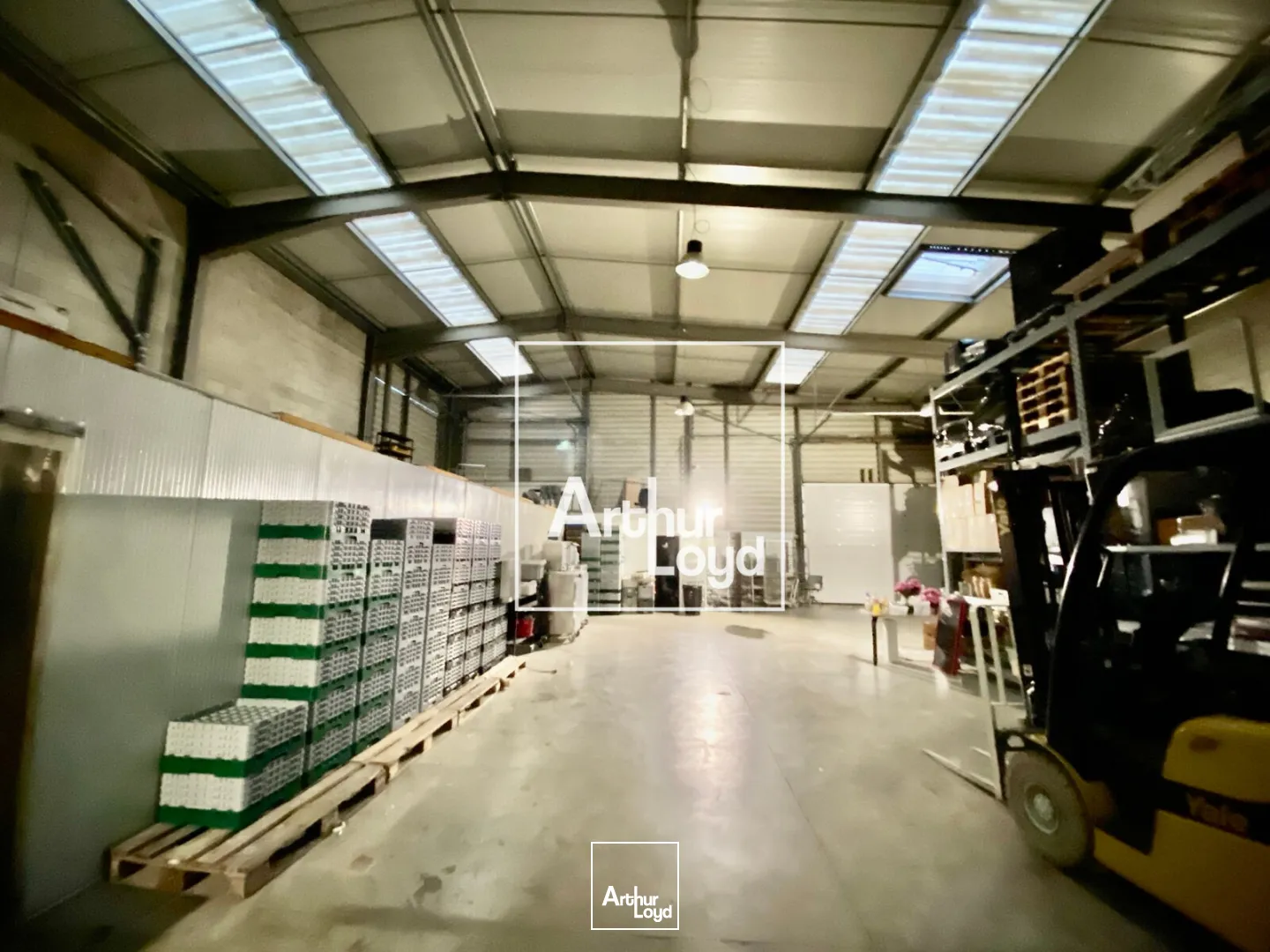 Locaux d'activité 1000m2 à St Jean de Védas - 3 portes sectionnelles - Location