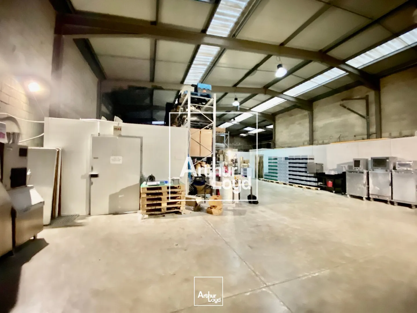 Locaux d'activité 1000m2 à St Jean de Védas - 3 portes sectionnelles - Location