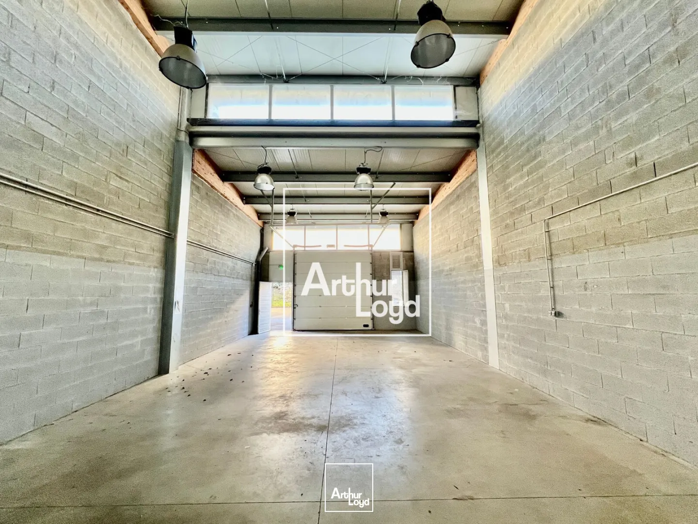 Locaux d'activité & Entrepôts - Location - CASTRIES - 34160 - 120-240 - 7600928