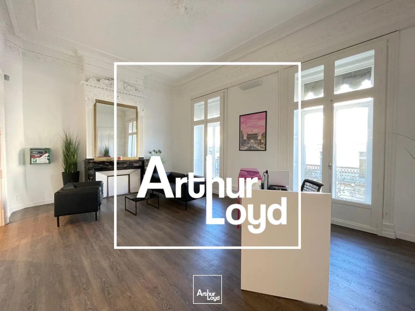 BUREAUX A LOUER 276 M²- MONTPELLIER JEU DE PAUME - PROXIMITE IMMEDIATE TRAMWAY 