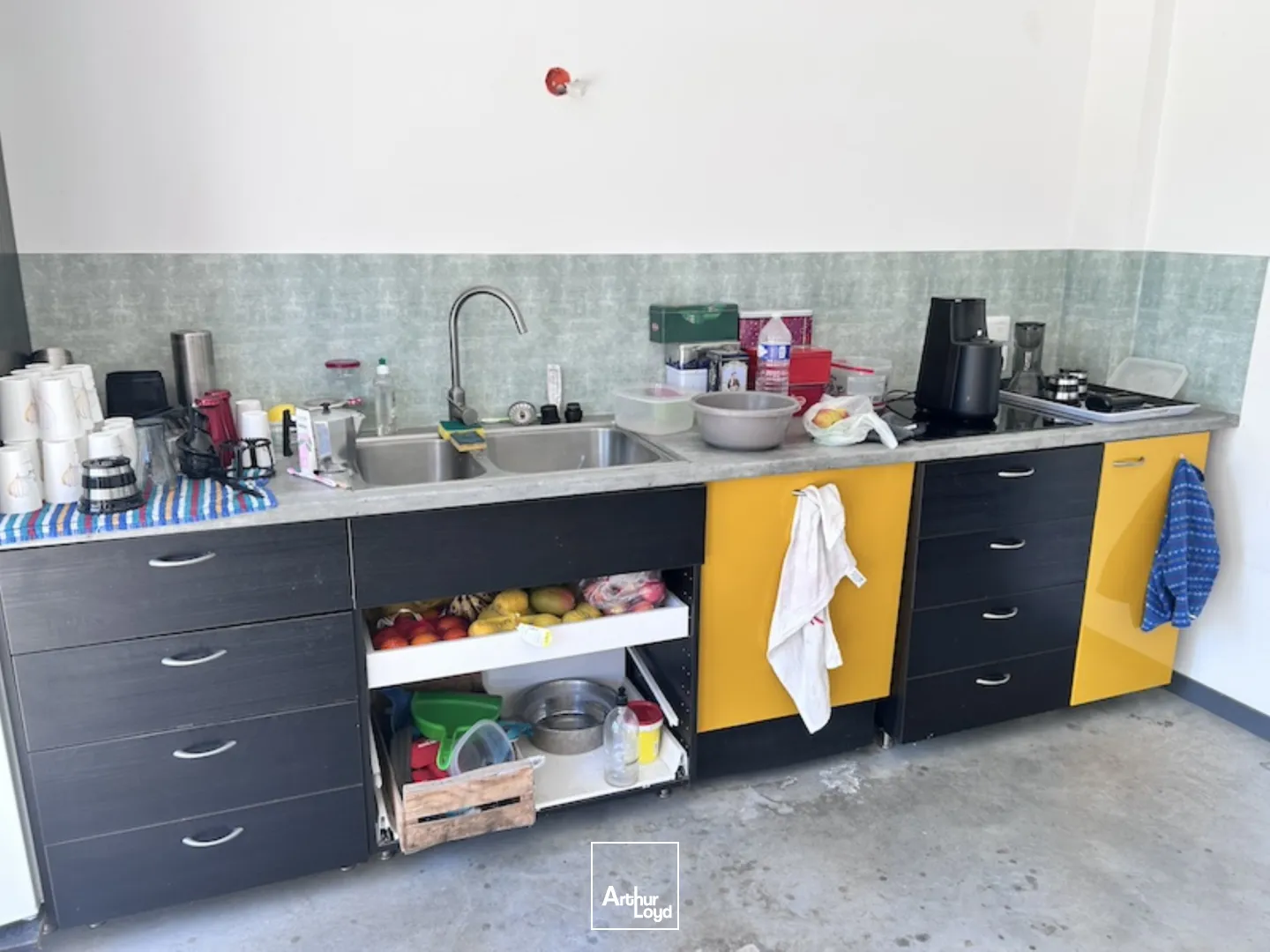 CHATILLON SUR CHALARONNE - VENTE OU LOCATION - BATIMENT RECENT SUR SON TERRAIN