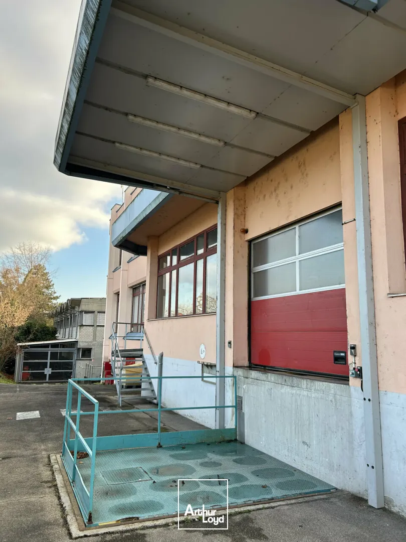 LOCAL D'ACTIVITE - ENTREPOT à VENDRE de 6280 m²