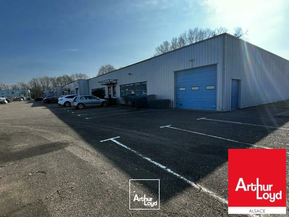 Locaux d'activité & Entrepôts - Vente - GEISPOLSHEIM - 67400 - 552-552 - 7604159