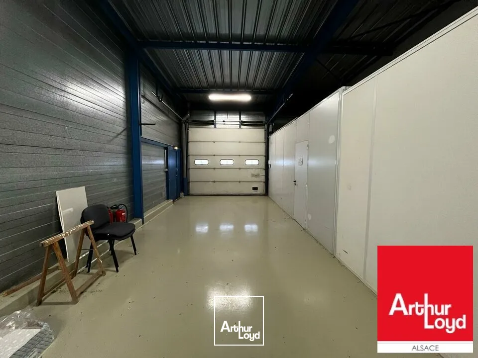 Locaux d'activité & Entrepôts - Vente - GEISPOLSHEIM - 67400 - 552-552 - 7604158