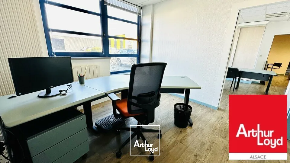 Locaux d'activité & Entrepôts - Vente - GEISPOLSHEIM - 67400 - 552-552 - 7604160