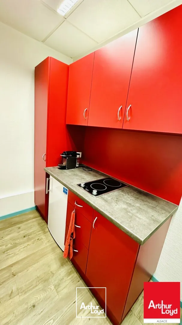 Locaux d'activité & Entrepôts - Vente - GEISPOLSHEIM - 67400 - 552-552 - 7604161