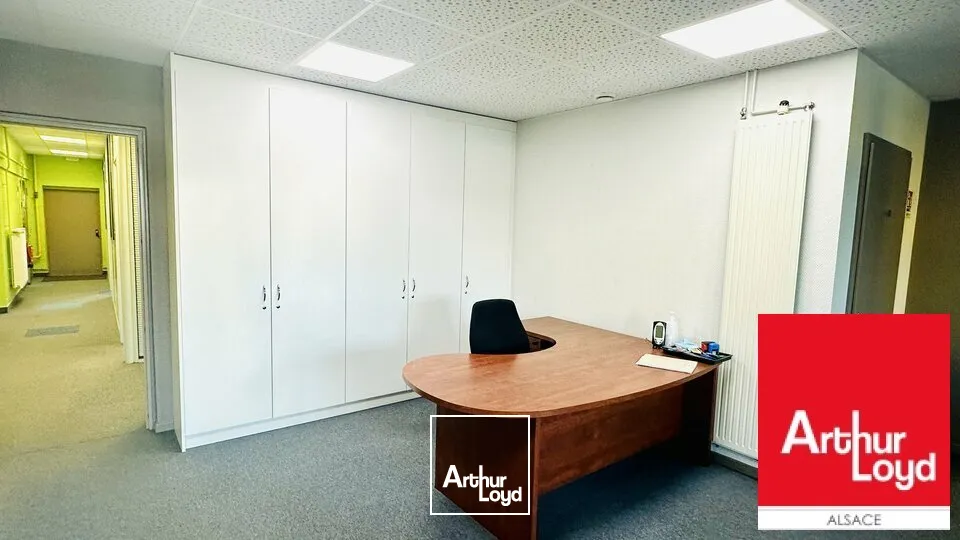 Locaux d'activité & Entrepôts - Vente - GEISPOLSHEIM - 67400 - 552-552 - 7604162