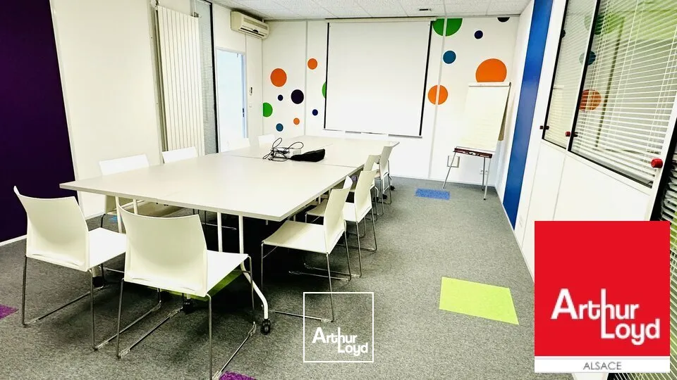 Locaux d'activité & Entrepôts - Vente - GEISPOLSHEIM - 67400 - 552-552 - 7604164