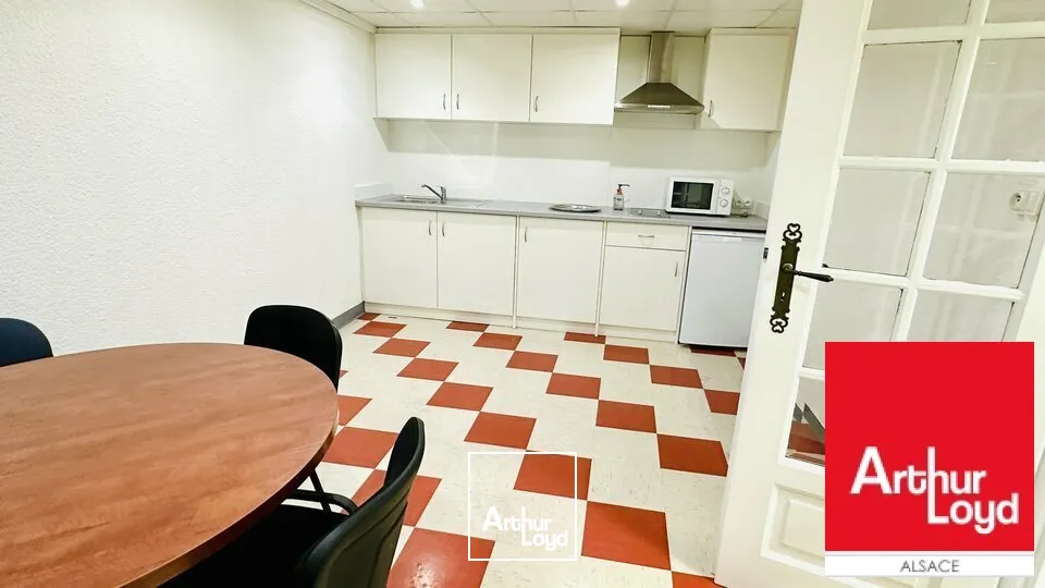 Locaux d'activité & Entrepôts - Vente - GEISPOLSHEIM - 67400 - 552-552 - 7604165