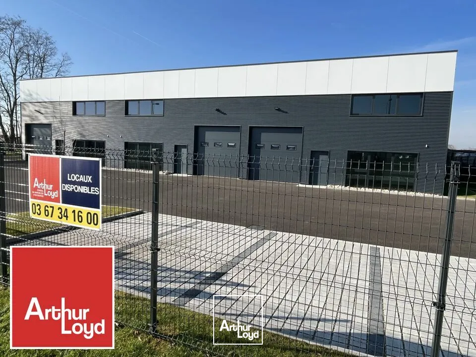 LOCAL D'ACTIVITE - ENTREPOT à LOUER de 784 m²