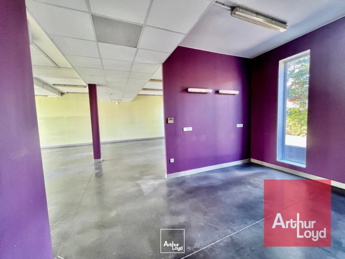 Locaux d'activité & Entrepôts - Vente - LUNEL - 34400 - 270-655 - 7604392