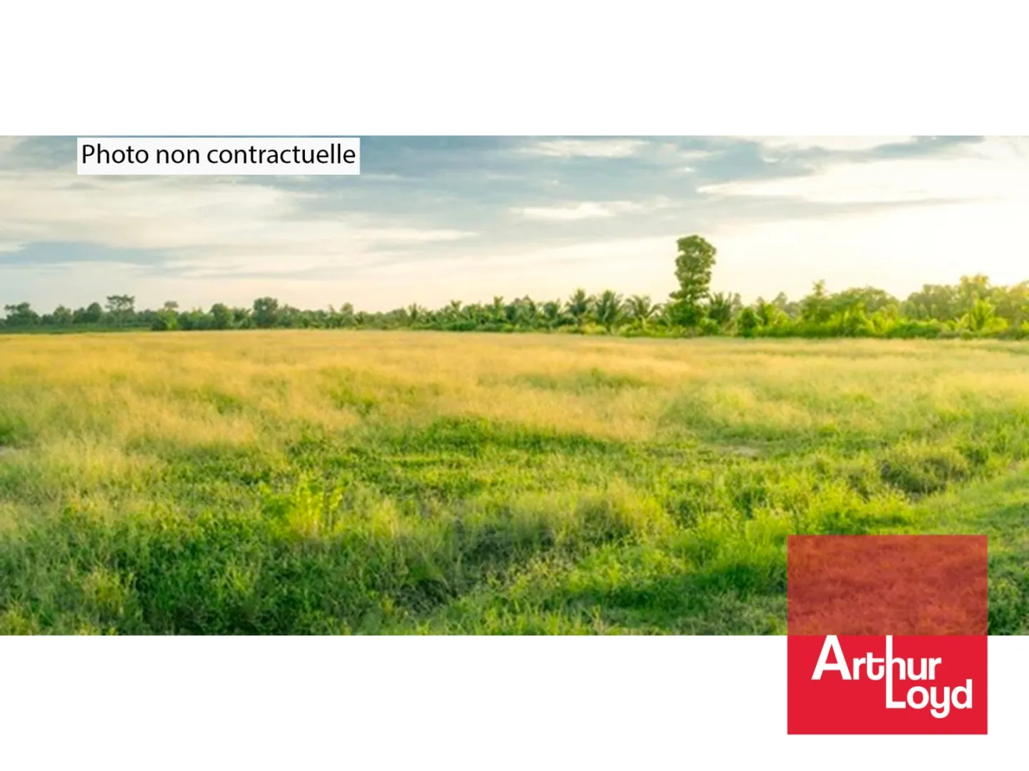 Terrain à vendre à Montpellier - 1 939 m² - proche tramway