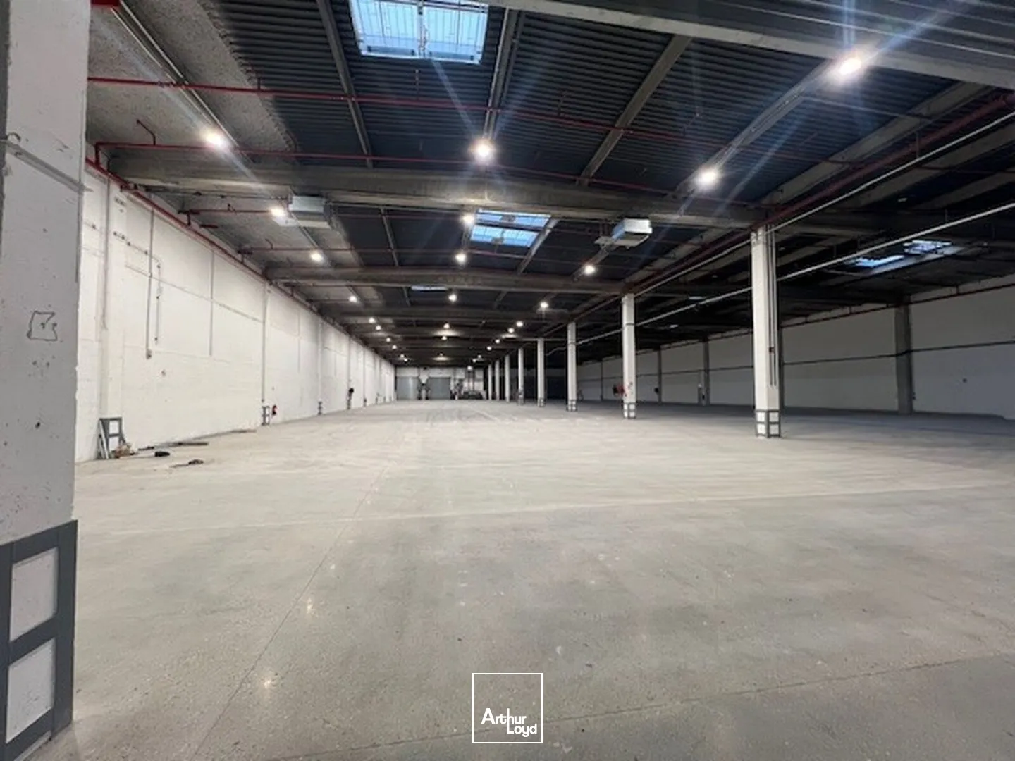 Locaux d'activité & Entrepôts - Location - LES ULIS - 91940 - 4272-8577 - 7605199