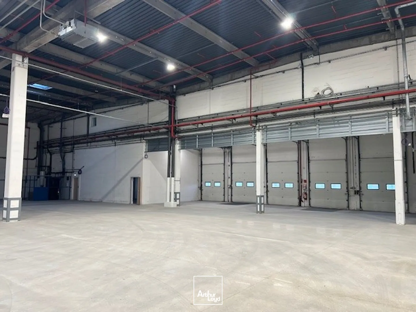 Locaux d'activité & Entrepôts - Location - LES ULIS - 91940 - 4272-8577 - 7605200