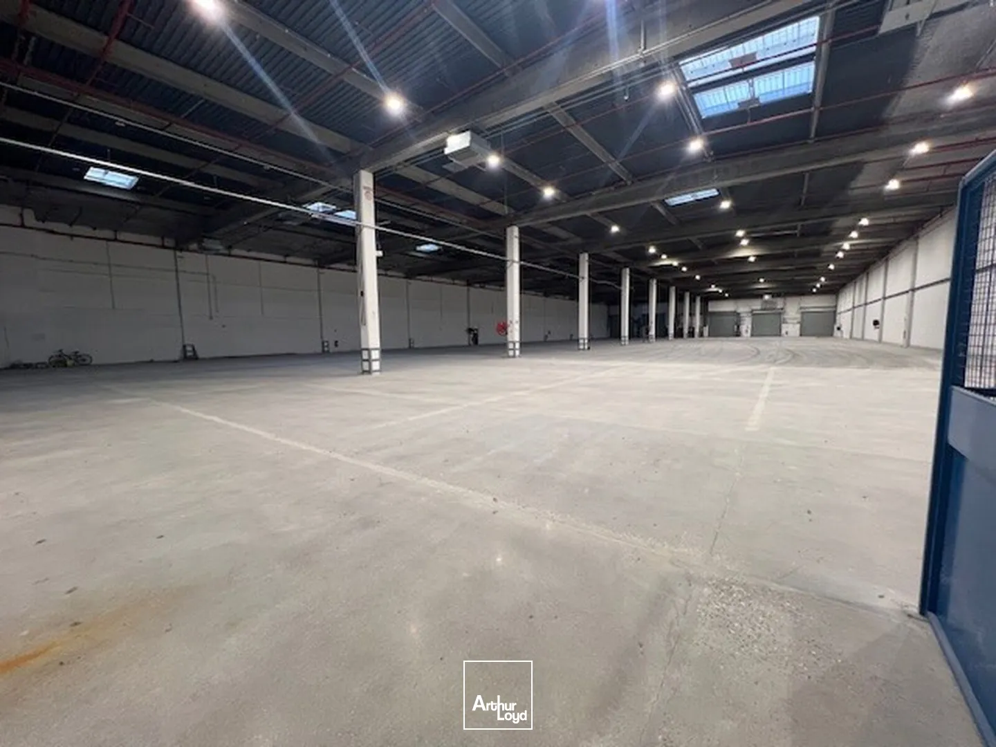 Locaux d'activité & Entrepôts - Location - LES ULIS - 91940 - 4272-8577 - 7605201